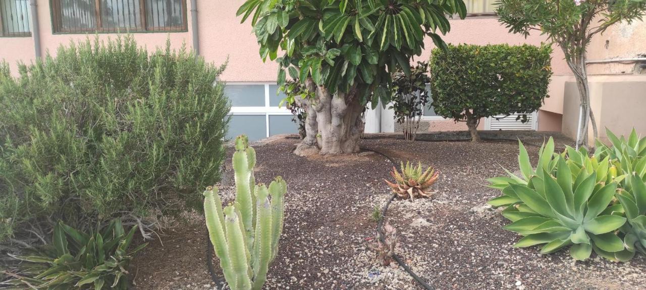 Acapulco Paradise Playa Feñabe Zewnętrze zdjęcie